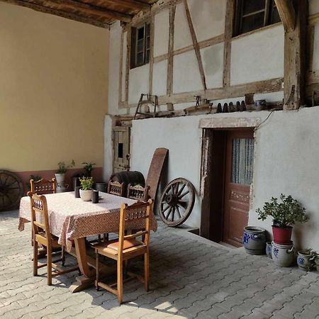 Le Kelsch, Loft Duplex 130M2 Avec Sauna, Proche Vignoble Marlenheim Esterno foto