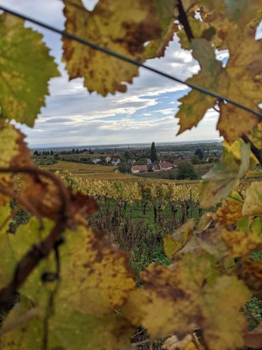 Le Kelsch, Loft Duplex 130M2 Avec Sauna, Proche Vignoble Marlenheim Esterno foto